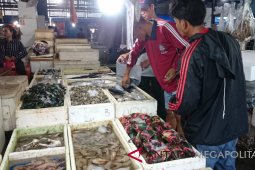 Cuaca membaik, harga ikan laut kembali normal