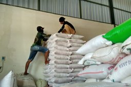 Harga Beras "Buwohan" di Bojonegoro Rp8.100/Kilogram