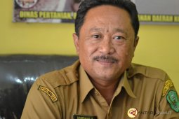Penyuluh pertanian diminta aktif dilapangan
