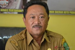 Pemkot dukung program peningkatan produktifitas pertanian