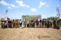 Tapin gets 18,500 hectares agriculture land expansion