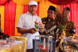 Bengkulu gelar "Mountain Valley Festival" 2018