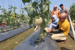 Gusnan: Sepeda Nusantara ajang promosi wisata Bengkulu Selatan