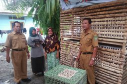 Program bekerja diperuntukkan buat 3.595 RTM Langkat