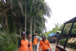 775 rumah di Langkat terdampak banjir