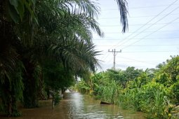 Banjir di Langkat kian meluas
