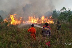 Personel gabungan kewalahan hadapi kebakaran lahan