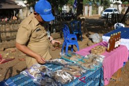 Desa Cabi Banjar jadi desa inovatif Kalsel