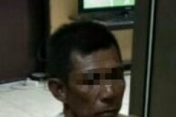 Polsek Danau Panggang amankan pencuri kerbau rawa