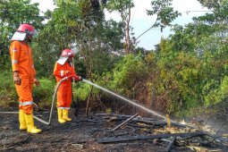 Status siaga karhutla Batanghari berakhir
