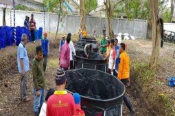 Pelatihan budidaya ikan lele