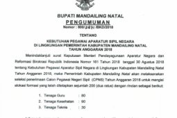 Formasi penerimaan CPNS Madina 200 orang