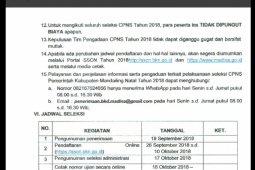 Rincian formasi dan jabatan CPNS Mandailing Natal