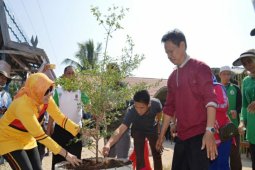 Ratusan warga Batola tanam pohon penghijauan