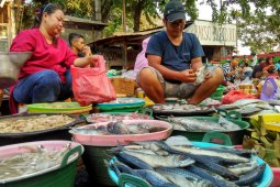Pasokan Ikan Laut di Bojonegoro Normal