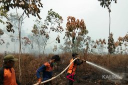 Bupati imbau relawan Karhutla mengutamakan keselamatan