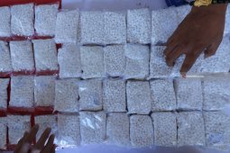 Polres Ngawi Tangkap Tersangka Peredaran Narkoba dan Pil Koplo