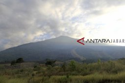 Kawasan Gunung Ciremai kembali terbakar