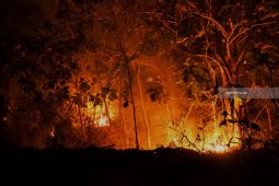 50 ton garam disiapkan untuk modifikasi cuaca redakan karhutla