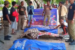 Presiden akan pimpin operasi kemanusiaan untuk Donggala-Palu