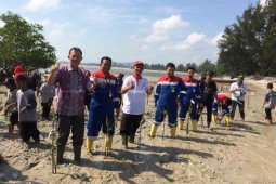 Taman Edukasi Mangrove Pertamina untuk pesisir Pangkal Pinang