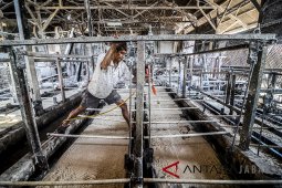 Produksi tepung Tapioka menurun