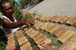 Industri di Aceh gunakan garam impor Medan