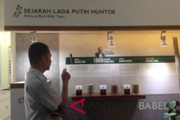 Ternyata sejarah lada Babel warisan Kolonial Belanda