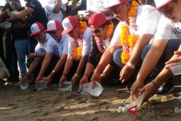 Wagub Bali lepas tukik di Pantai Petitenget