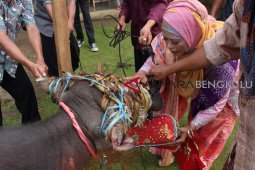 "Nundang Padi" ritual adat petani Bengkulu Selatan