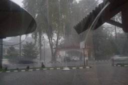 Hujan merata guyur Jambi pada akhir pekan