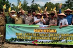 Dinas Pertanian Babel akan salurkan benih jagung unggul 1.000 hektare