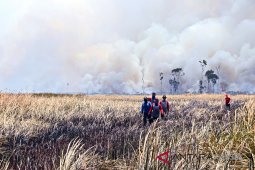 Kebakaran di Areal Lahan HPS di Jejangkit