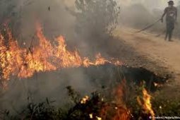 Flames approach South Kalimantan High Court