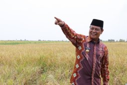 Kalsel sukses tingkatkan produksi pertanian lebak