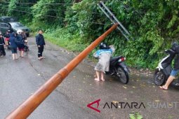 Pohon tumbang timpa jaringan listrik