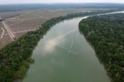 Cagar alam hutan mangrove di Jambi terancam