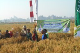 Banjarmasin govt buys five hectares land per year for agriculture