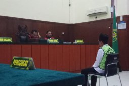 Terdakwa Perusak Hutan Lindung Gunung Lemongan Divonis 8 Tahun Penjara