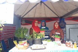 PKK Tangerang Targetkan Satu Rumah 10 Pohon