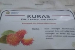 Mahasiswa Bengkulu olah kulit rambutan jadi teh