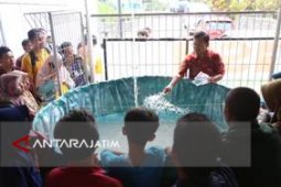 Dosen UMM Kembangkan "Biona" untuk Tngkatkan Kualitas Lele