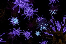 Masyarakat harus waspada Hepatitis A mudah menular