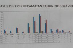 Dinkes Tabalong Temukan 44 Kasus DBD