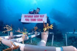 Bhayangkari Sulut Lakukan Transplantasi Karang di Tawara-Bunaken