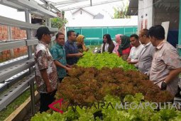 Pemuda Sukabumi manfaatkan lahan rumah untuk bertani