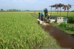 Stok Pupuk Bersubsidi di Bojonegoro Tersisa 24.085 Ton