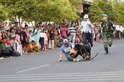 Atraksi Anjing Pelacak TNI