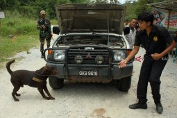 Bea Cukai belum tetapkan tersangka penyelundupan batu antimoni