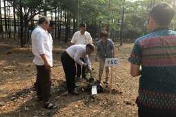 Hutan berkelanjutan diharapkan jadi "top mind"  Indonesia